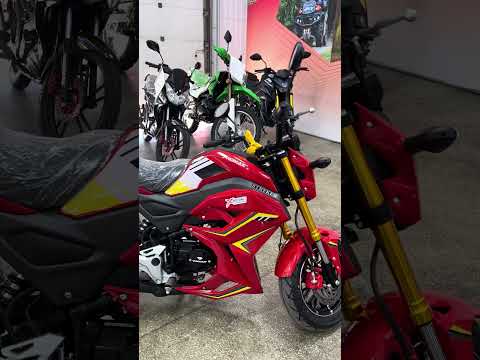 Выдача мотоцикла PROMAX STRYKER 200(49) в X-MOTORS г. Сургут