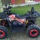Квадроцикл PROMAX WILD 300 LUX