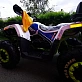 Квадроцикл PROMAX WILD 300 LUX