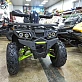 Квадроцикл PROMAX WILD 300 LUX