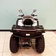 Квадроцикл BASHAN EXPLORER 300 BASIC