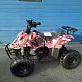 Квадроцикл RAPTOR 110